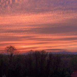 Photo #86 of 439 Wiggington, Lynchburg, VA 2.2 acres