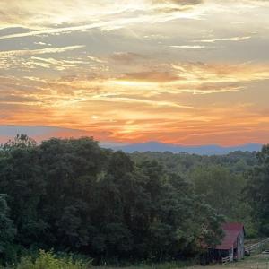 Photo #88 of 439 Wiggington, Lynchburg, VA 2.2 acres