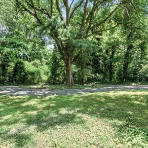 Photo #40 of 121 Brooke Street, Brookneal, VA 1.9 acres