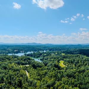 Photo #7 of 109 Tosh Lane, Goodview, VA 1.0 acres