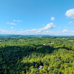 Photo #9 of 109 Tosh Lane, Goodview, VA 1.0 acres