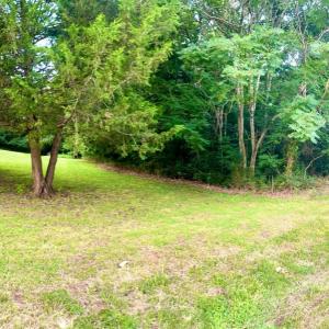 Photo #9 of 381 Frying Pan Lane, Pittsville, VA 8.0 acres