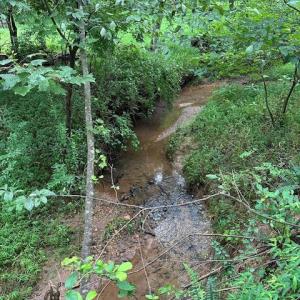 Photo #93 of 106 Two Creek Drive, Lynchburg, VA 16.7 acres