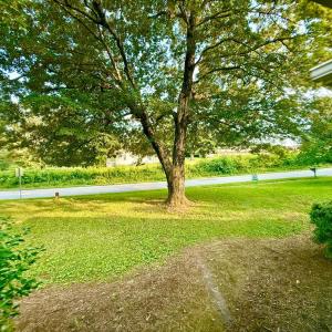 Photo #25 of 106 Monacan Park Road, Madison Heights, VA 0.5 acres