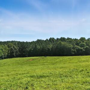 Photo #56 of 1433 Piney Mountain Road, Appomattox, VA 21.8 acres