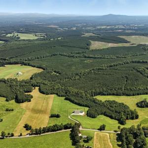 Photo #54 of 1433 Piney Mountain Road, Appomattox, VA 21.8 acres