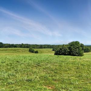 Photo #67 of 1433 Piney Mountain Road, Appomattox, VA 21.8 acres