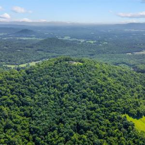 Photo #95 of 355 Dyson Road, Amherst, VA 68.9 acres