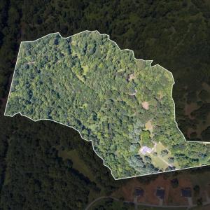 Photo #61 of 1655 Wingfield Drive, Goode, VA 21.6 acres