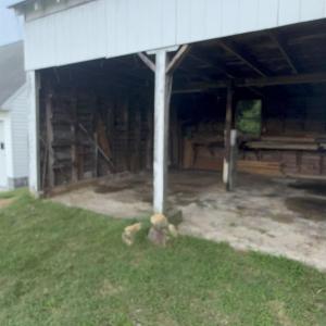 Photo #7 of 9919 James Madison Highway, Palmyra, VA 17.9 acres