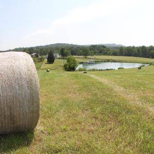 Photo #38 of 1672 Buffalo Run, Thaxton, VA 143.3 acres