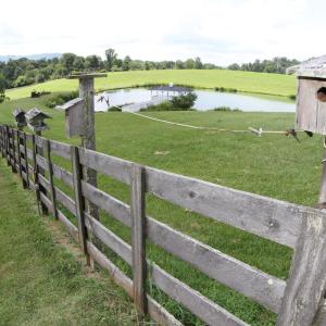 Photo #83 of 1672 Buffalo Run, Thaxton, VA 143.3 acres