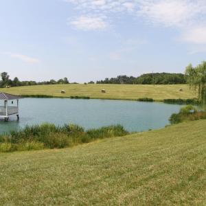 Photo #47 of 1672 Buffalo Run, Thaxton, VA 143.3 acres