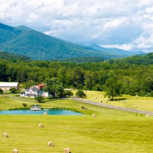 Photo #35 of 1672 Buffalo Run, Thaxton, VA 143.3 acres