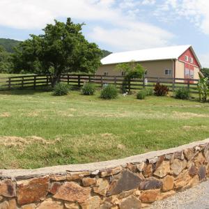 Photo #49 of 1672 Buffalo Run, Thaxton, VA 143.3 acres