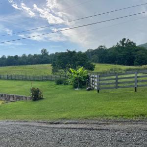 Photo #76 of 1672 Buffalo Run, Thaxton, VA 143.3 acres