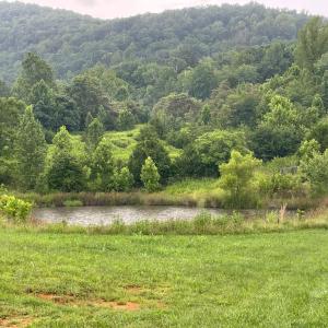 Photo #65 of 1672 Buffalo Run, Thaxton, VA 143.3 acres