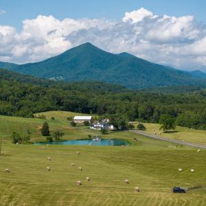 Photo #33 of 1672 Buffalo Run, Thaxton, VA 143.3 acres