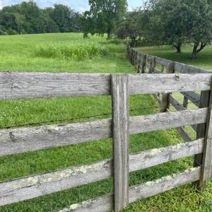 Photo #71 of 1672 Buffalo Run, Thaxton, VA 143.3 acres