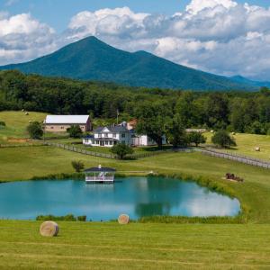 Photo #1 of 1672 Buffalo Run, Thaxton, VA 143.3 acres
