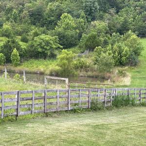 Photo #57 of 1672 Buffalo Run, Thaxton, VA 143.3 acres