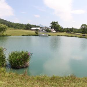 Photo #39 of 1672 Buffalo Run, Thaxton, VA 143.3 acres