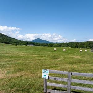 Photo #32 of 1672 Buffalo Run, Thaxton, VA 143.3 acres