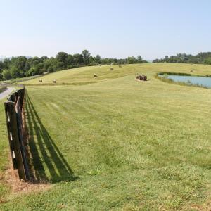 Photo #37 of 1672 Buffalo Run, Thaxton, VA 143.3 acres