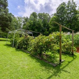 Photo #49 of 1059 Campbell Highway, Rustburg, VA 8.7 acres