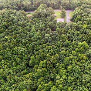 Photo #59 of 199 Braxton Ridge Road, Amherst, VA 3.8 acres