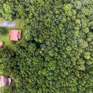 Photo #58 of 199 Braxton Ridge Road, Amherst, VA 3.8 acres