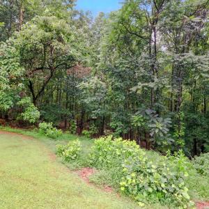 Photo #44 of 199 Braxton Ridge Road, Amherst, VA 3.8 acres