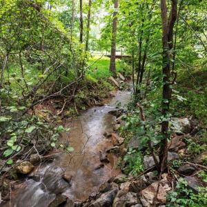 Photo #70 of 2288 Lexington Tpke, Amherst, VA 22.9 acres