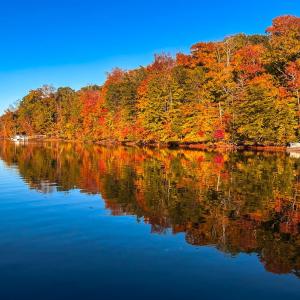 Fall on the water