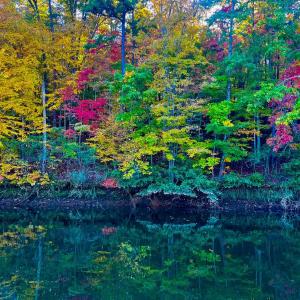 Fall on Leesville Lake