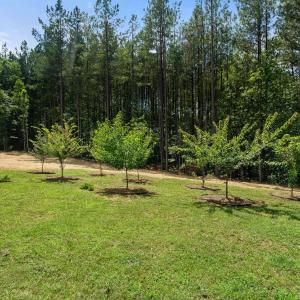 Photo #58 of 1997 Rock Church Road, Pamplin, VA 11.0 acres