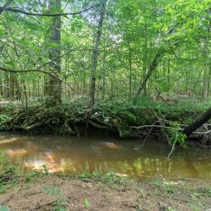 Photo #67 of 1997 Rock Church Road, Pamplin, VA 11.0 acres