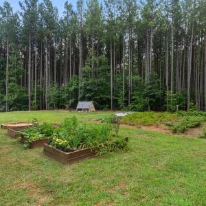 Photo #50 of 1997 Rock Church Road, Pamplin, VA 11.0 acres