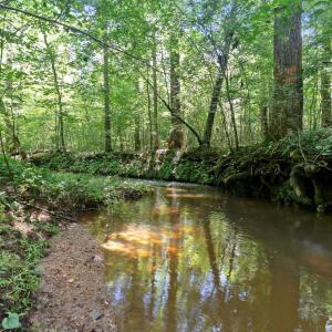 Photo #70 of 1997 Rock Church Road, Pamplin, VA 11.0 acres