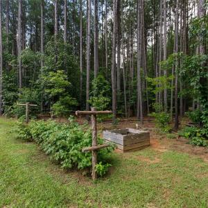 Photo #51 of 1997 Rock Church Road, Pamplin, VA 11.0 acres