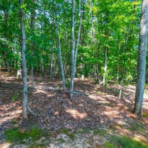Photo #36 of 851 Wildway, Appomattox, VA 1.3 acres