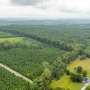 Photo #56 of 3487 Marysville Road, Altavista, VA 20.3 acres