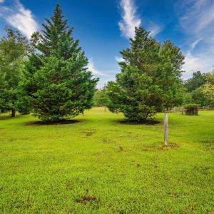 Photo #44 of 3487 Marysville Road, Altavista, VA 20.3 acres