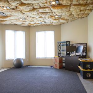 Office/Craft Room/Potential Bedroom Lowel Level.