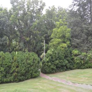 Photo #16 of 10778 Rockfish River Road, Shipman, VA 2.2 acres