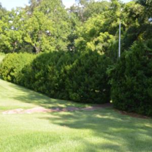 Photo #7 of 10778 Rockfish River Road, Shipman, VA 2.2 acres