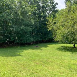 Large lot with level backyard/mature trees