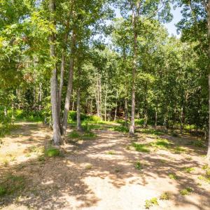 Photo #47 of 2313 Red Oak School Road, Concord, VA 7.8 acres