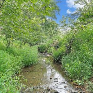 Photo #54 of 1224 Rendezvous Lane, Bedford, VA 0.4 acres