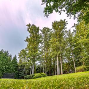Photo #81 of 1227 Jefferson Dr W, Forest, VA 1.0 acres